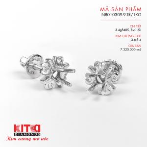 Vỏ Bông Tai Kim Cương